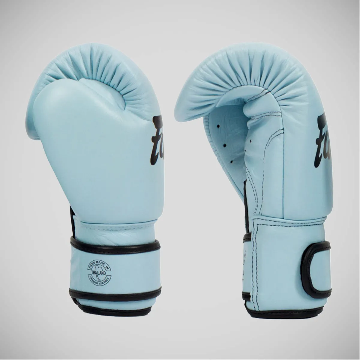 Blue Fairtex BGV20 Boxing Gloves