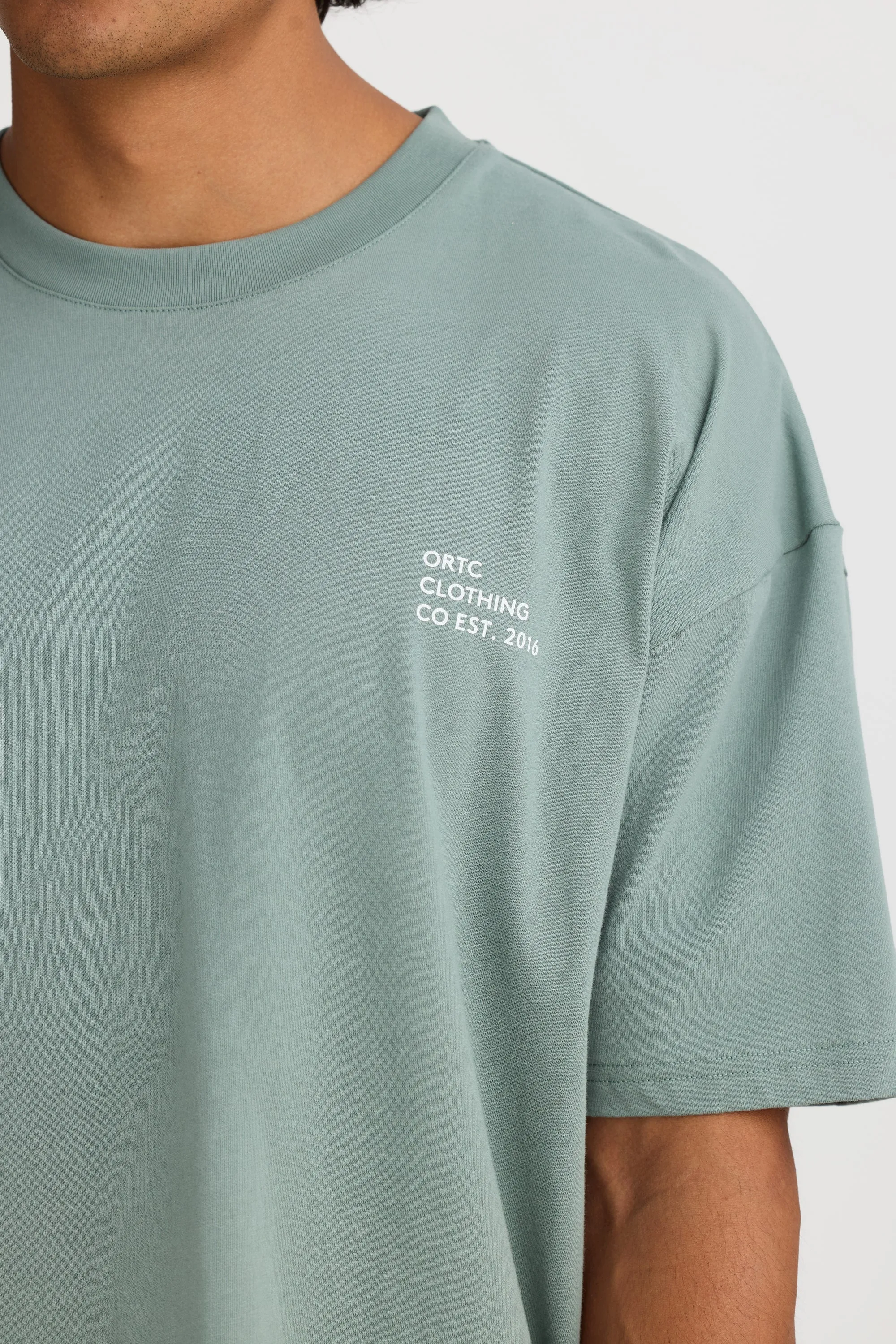 Box Fit Logo T Shirt Sage