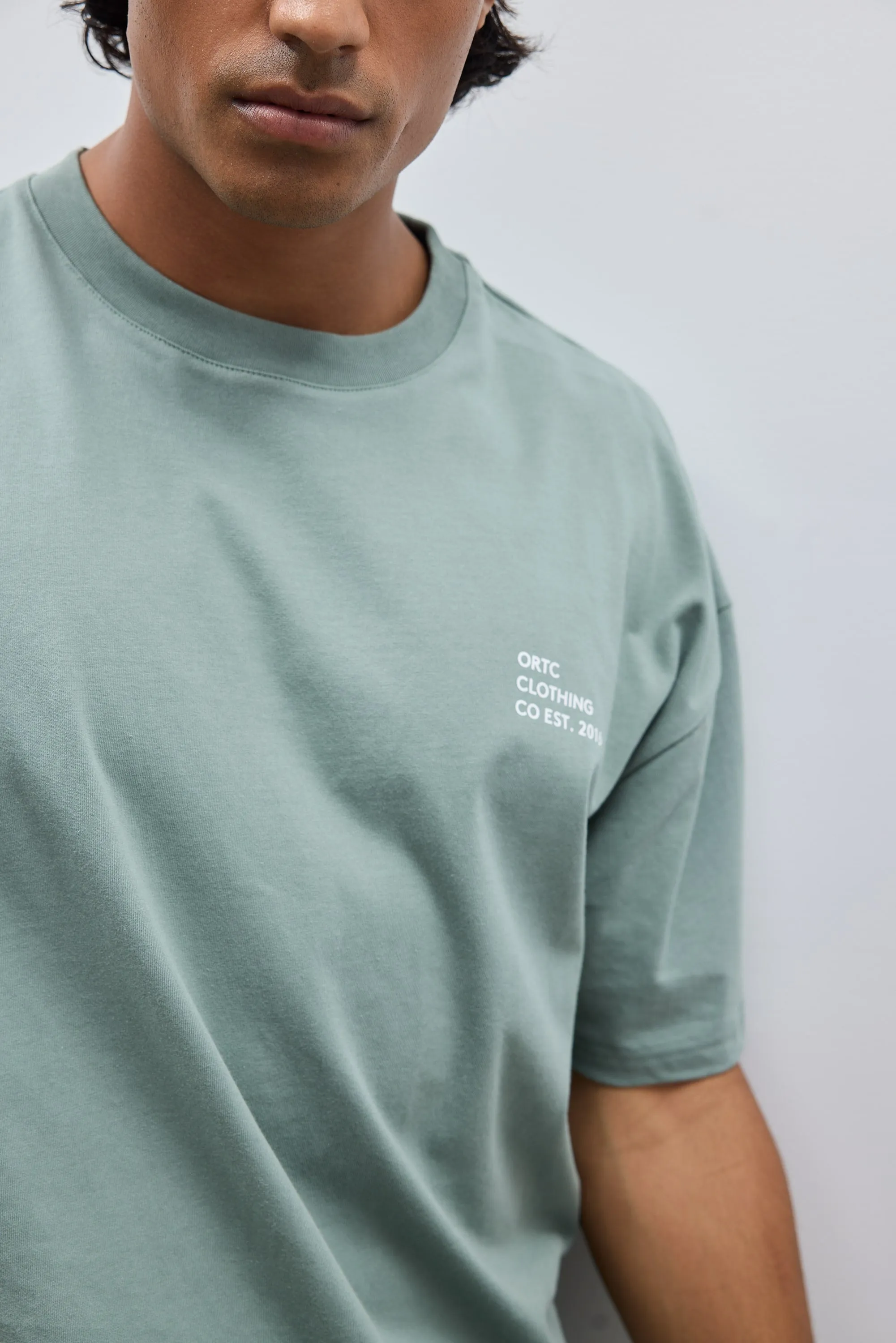 Box Fit Logo T Shirt Sage