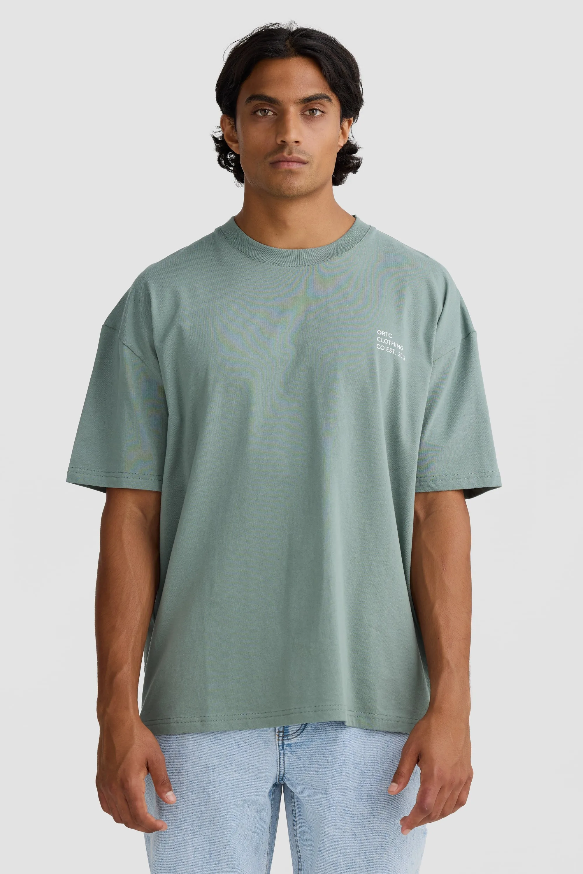 Box Fit Logo T Shirt Sage