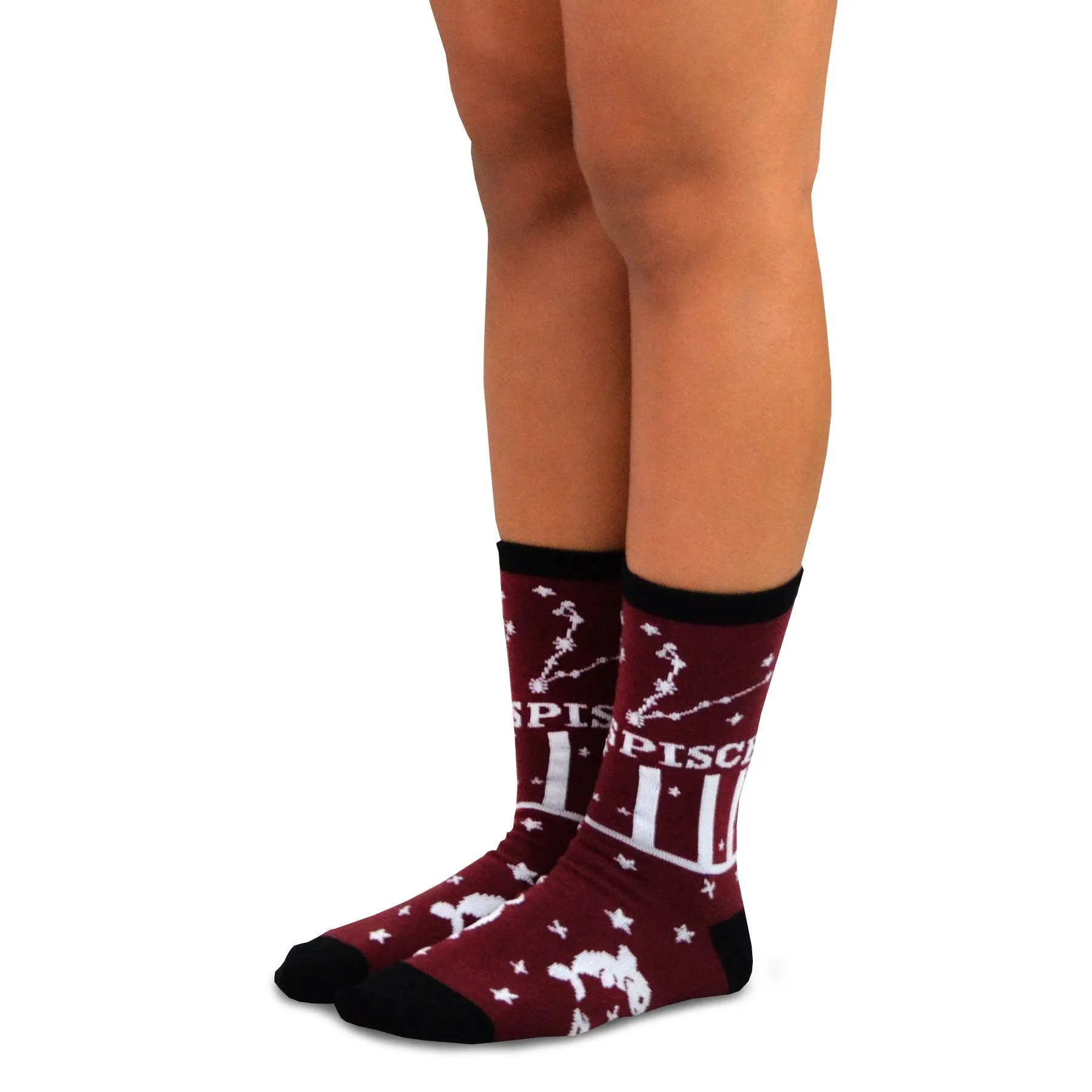 TeeHee Socks Women's Novelty Polyester Crew Horoscope 12-Pack (12276)