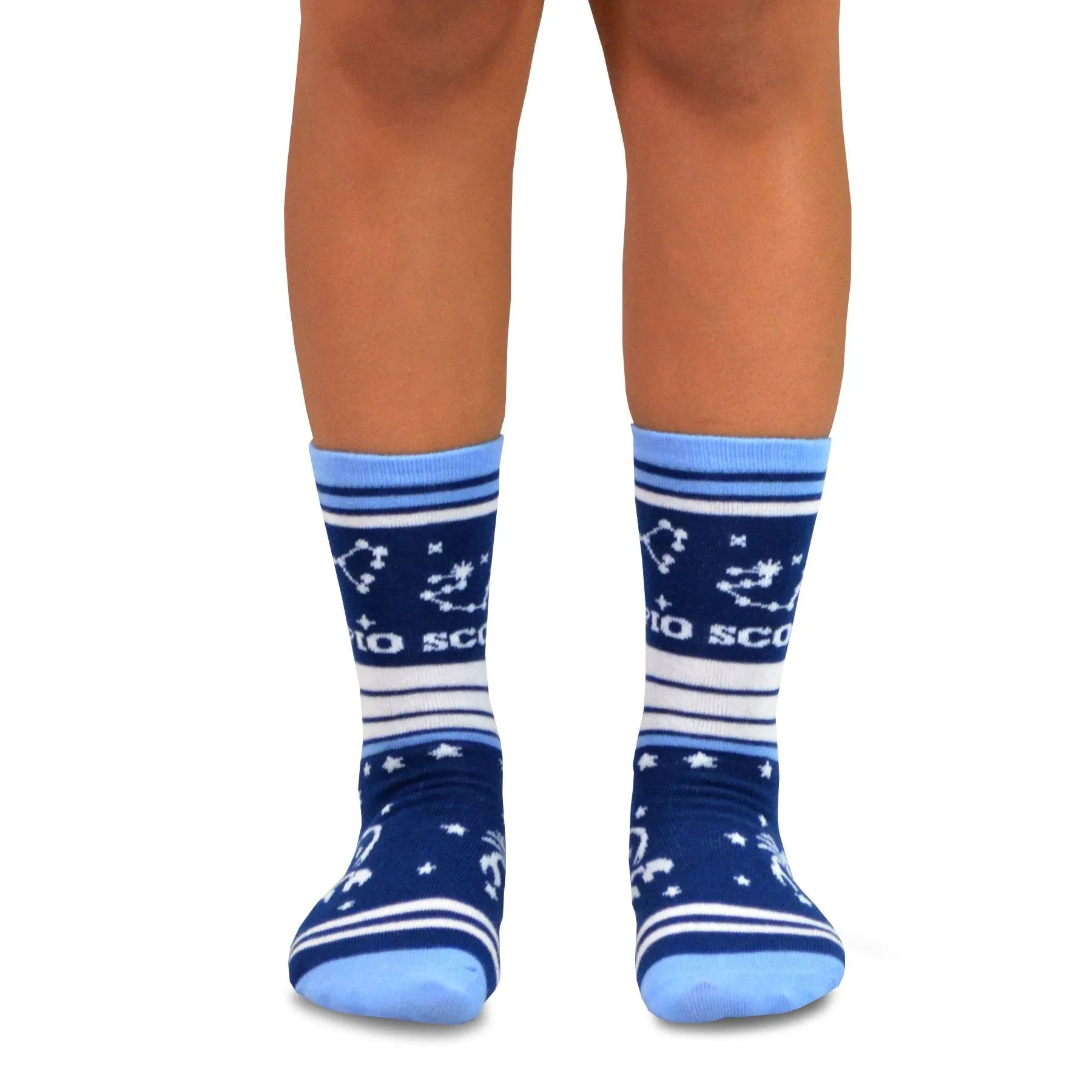 TeeHee Socks Women's Novelty Polyester Crew Horoscope 12-Pack (12276)