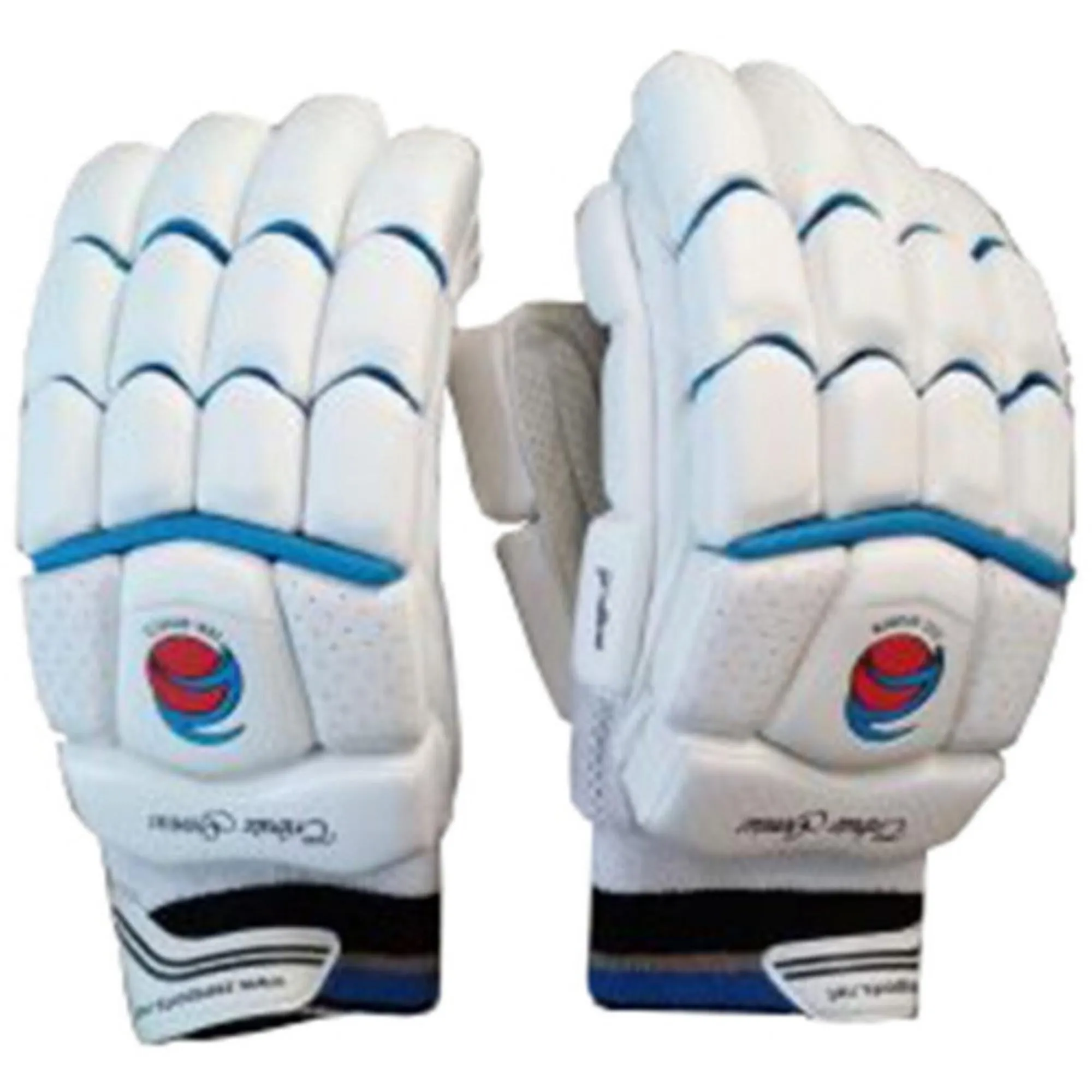 Zee Sports Batting Gloves Tribute Genius Test Blue